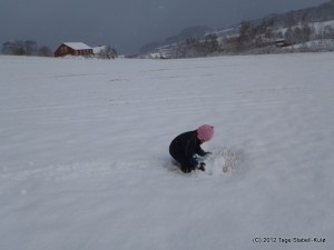 Livia leter efter snemannen